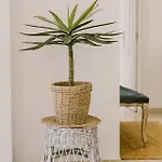 Апартаменты Precioso Con Terraza Frente Al Golf